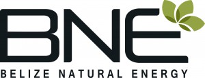 BNE Full Color Logo